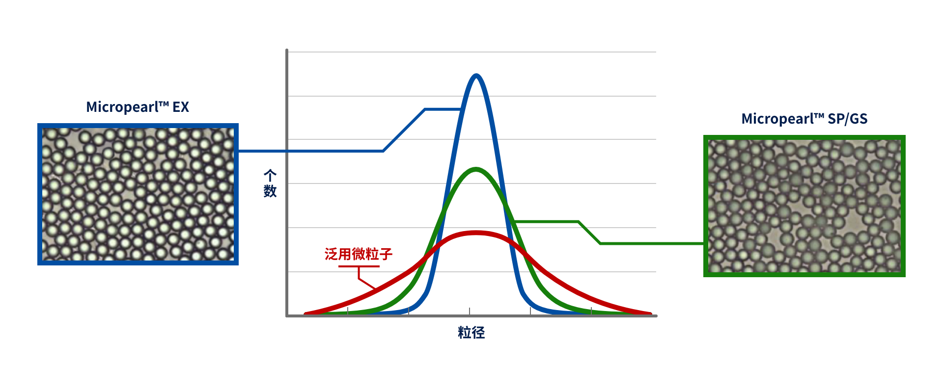 粒子径