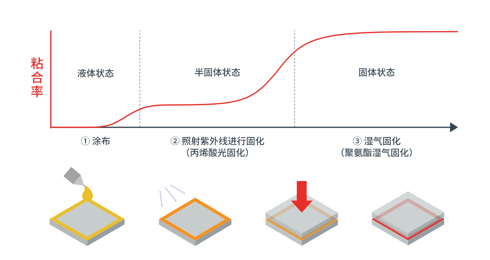 固化过程